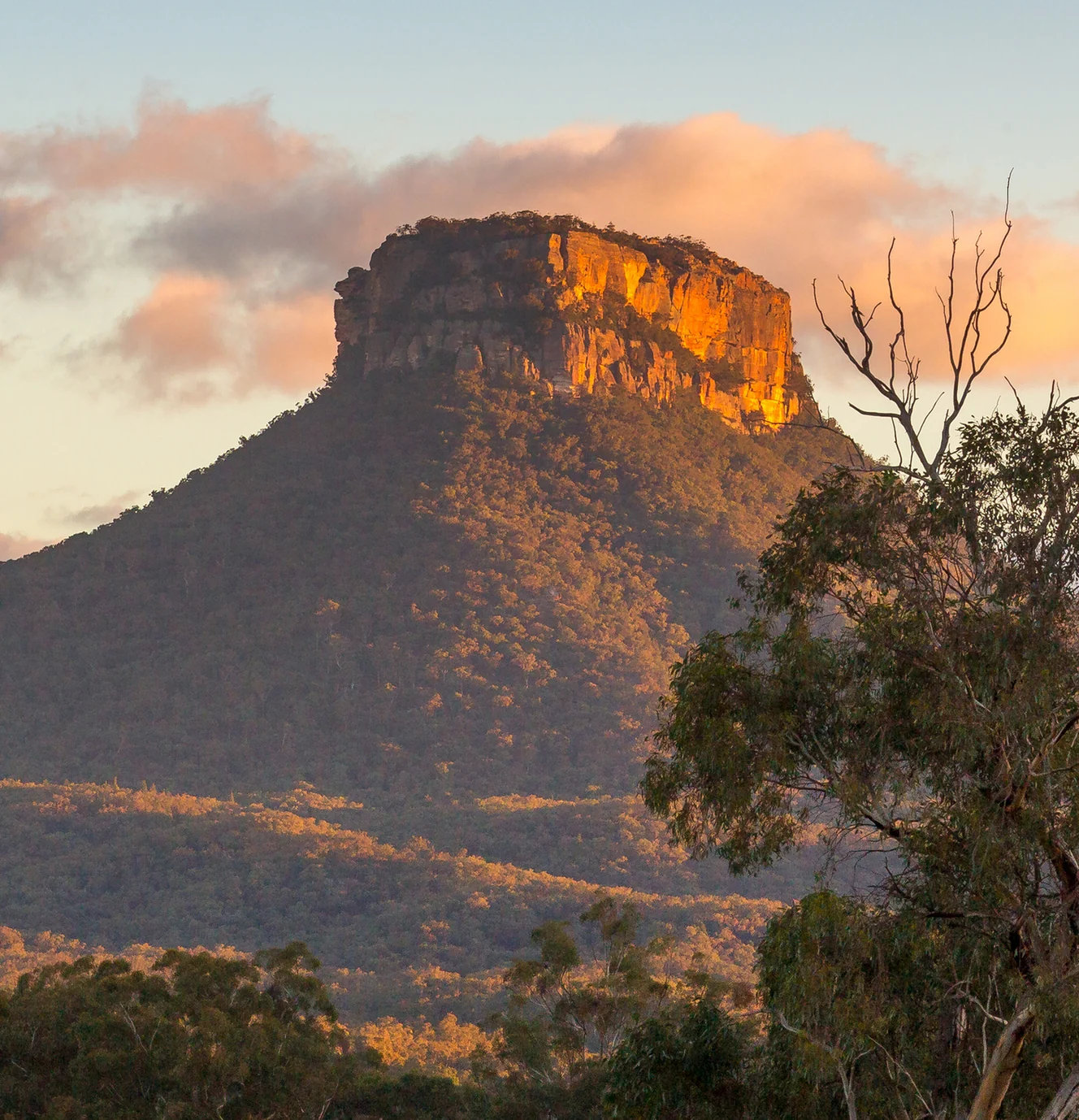 Flat-topped mesa lit by late sun above a wooded valley